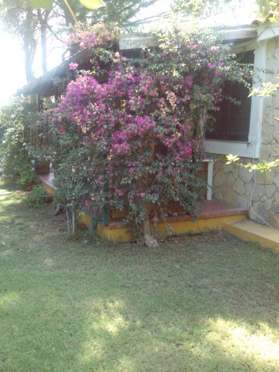 -Exclusive Private Villa- Villasimius Luaran gambar